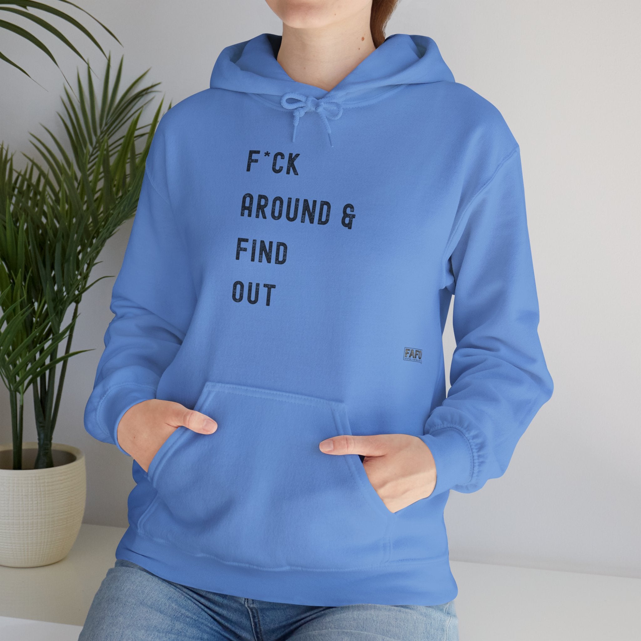 F*ck Around & Find Out Hoodie