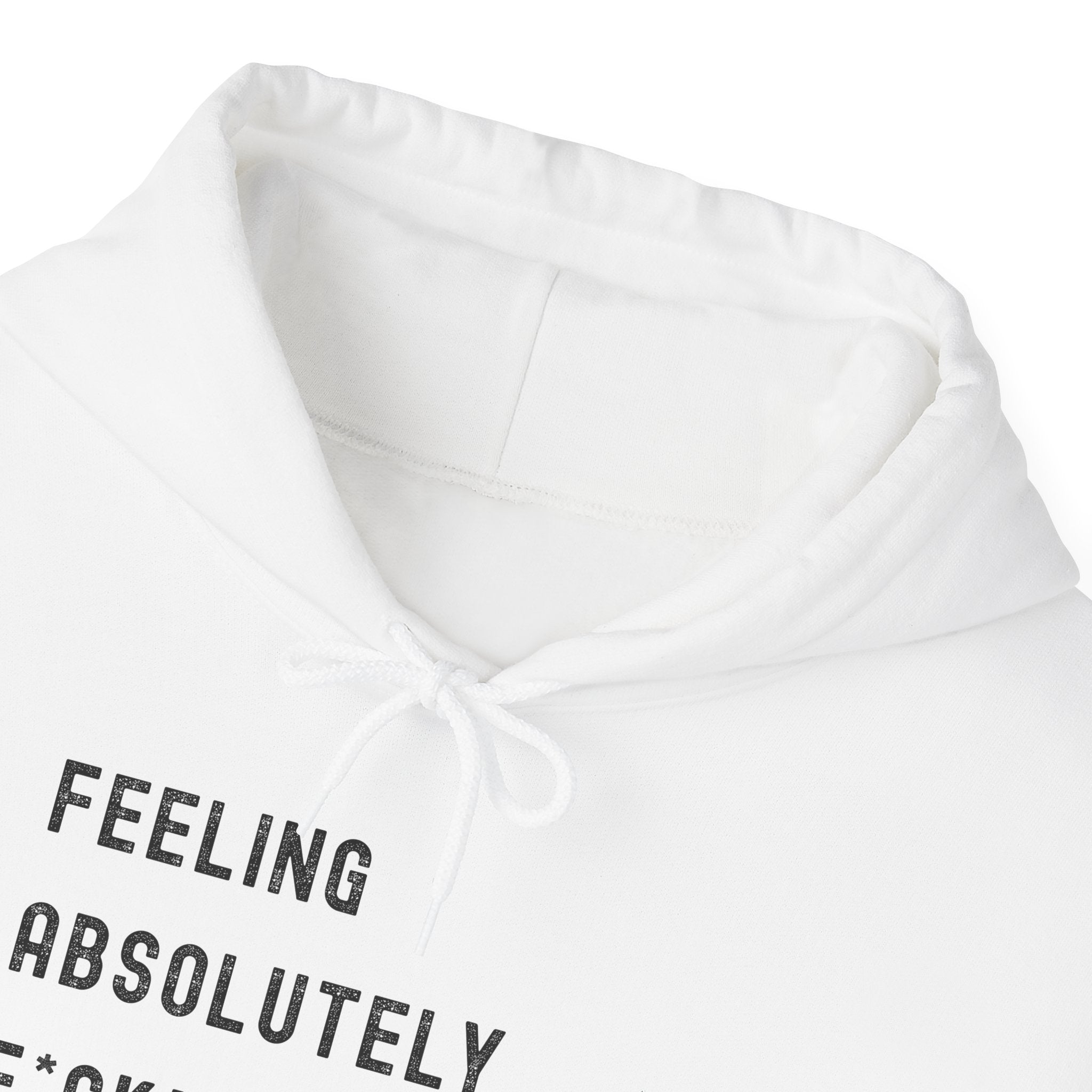 Feeling Absolutely F*cking Overstimulated Hoodie