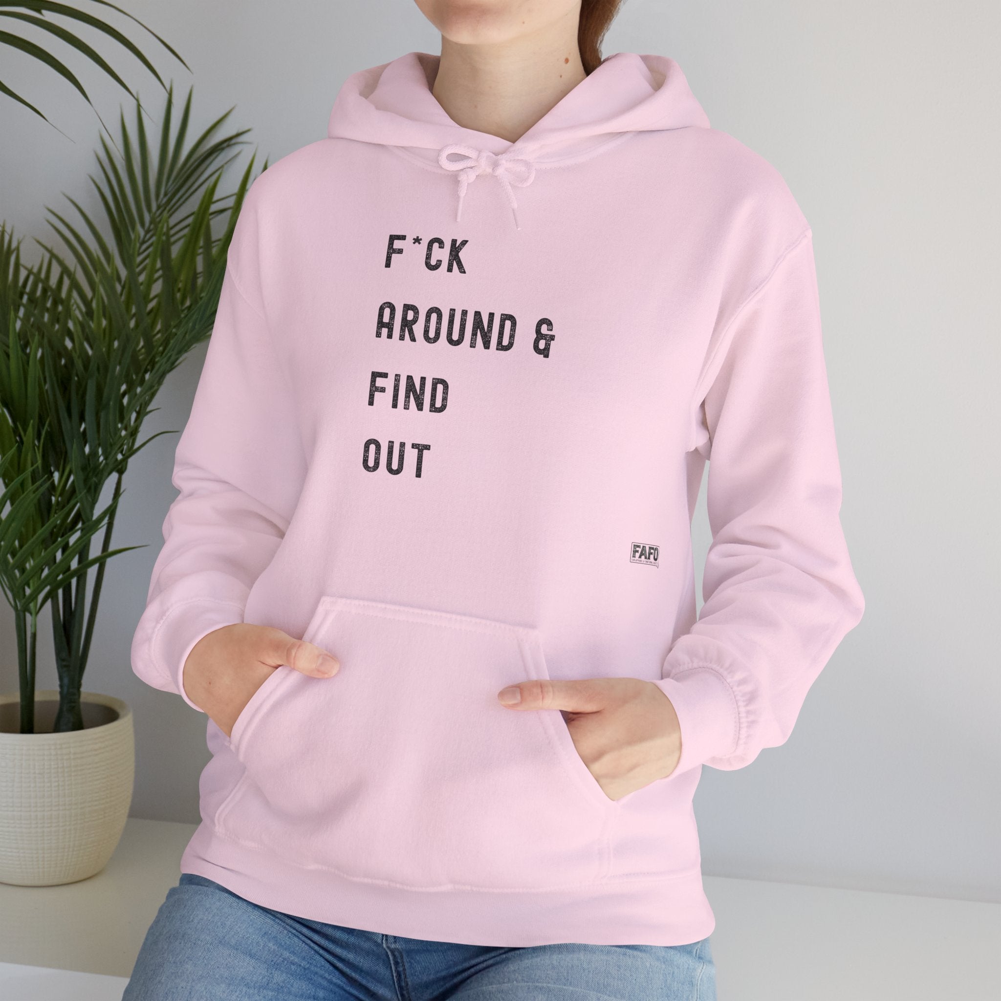 F*ck Around & Find Out Hoodie