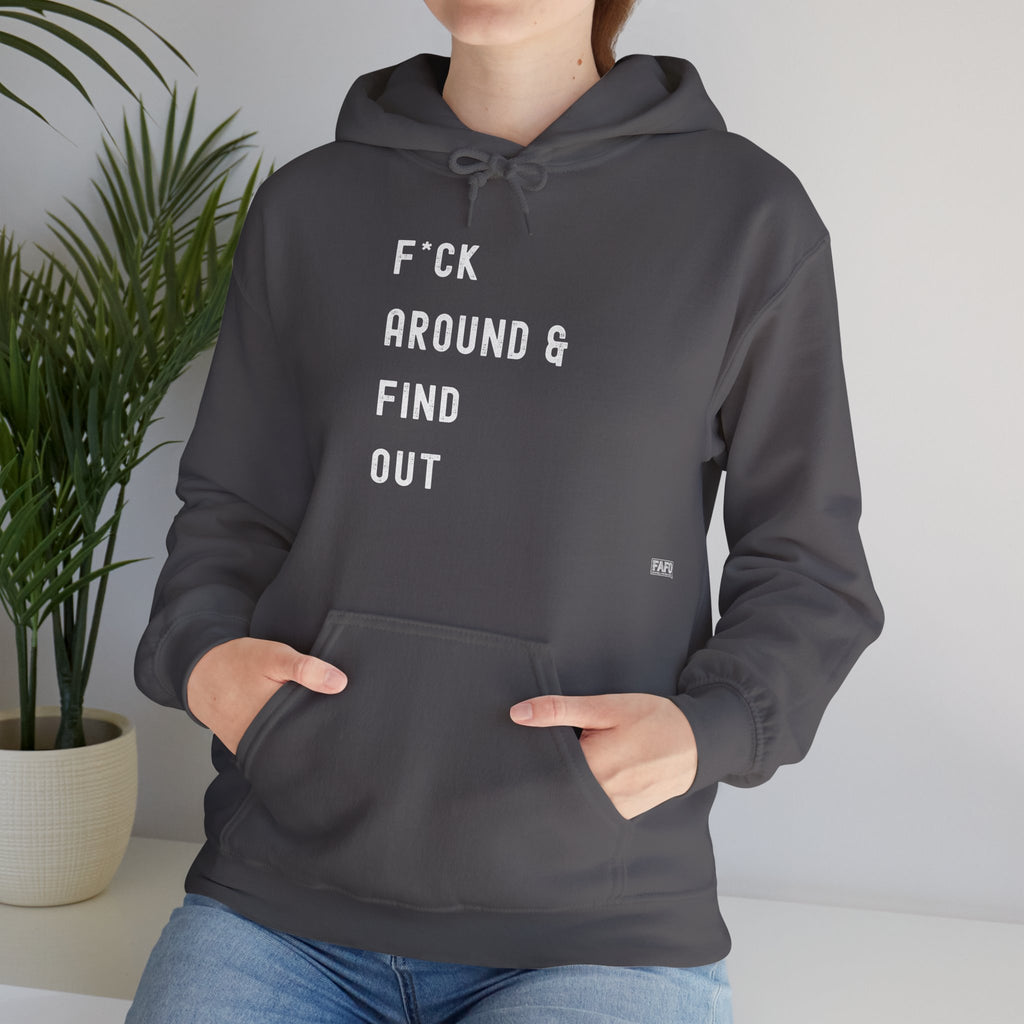 F*ck Around & Find Out Hoodie